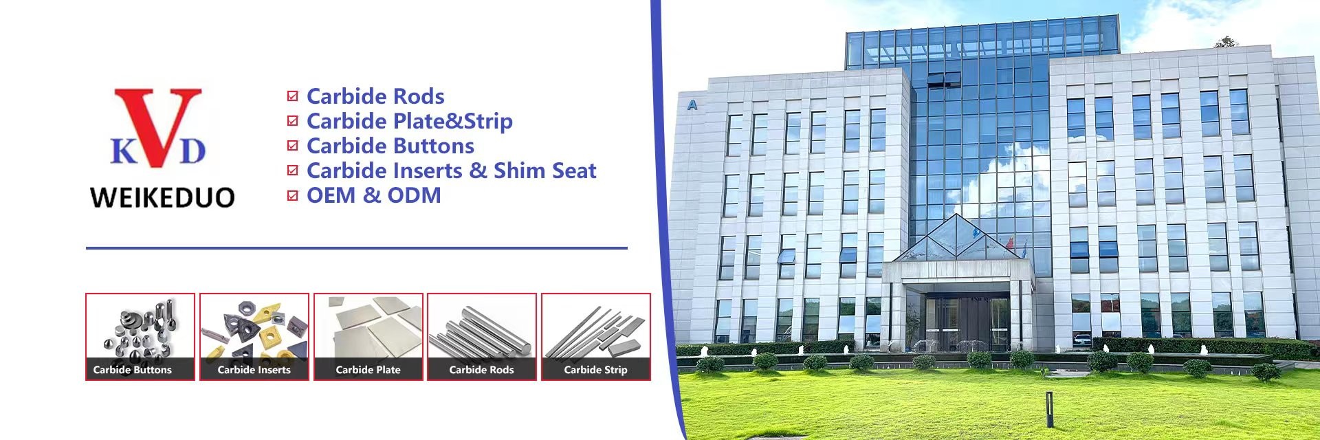 qualità Bottoni del carburo di tungsteno fabbrica